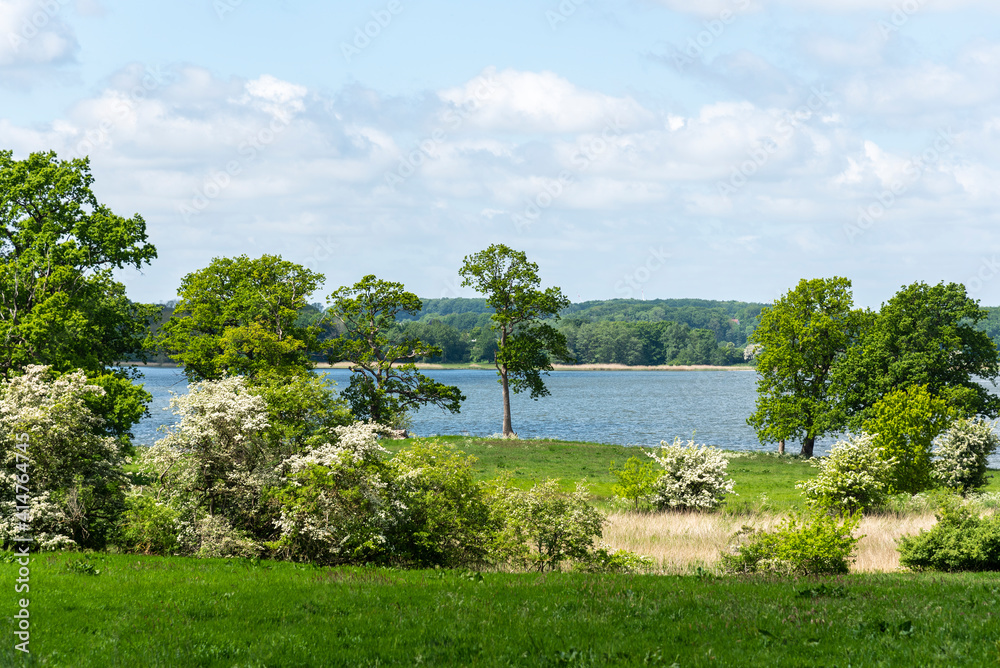 Landschaft an der Schlei, Schleswig-Holstein Landschaft an der Schlei, Schleswig-Holstein