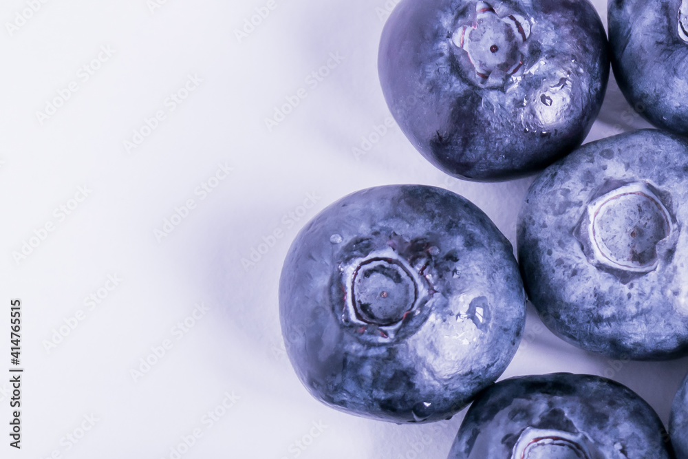 fresh blueberries with green leaves Isolated on white background fresh blueberries with green leaves Isolated on white background