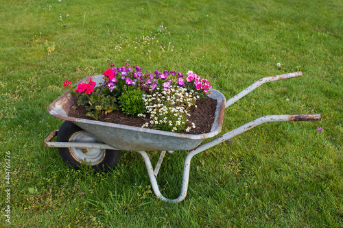 wheelbarrow with flowers Fototapet