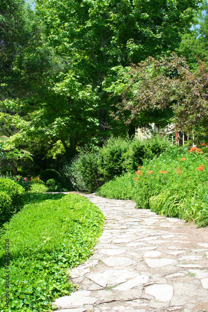 walkway in garden