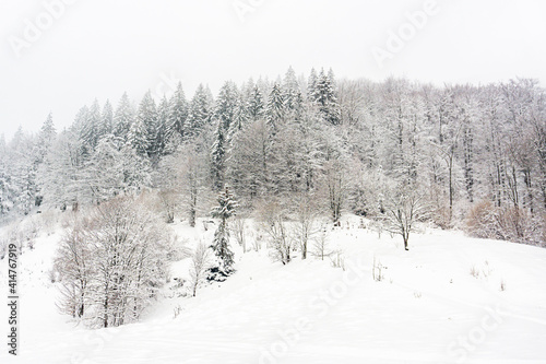 Winter Carpathian mountains a lot of snow and dust. Snowy winter. Ukraine, Blyznytsia