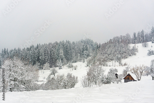 Winter Carpathian mountains with house and a lot of snow. Snowy  winter. Ukraine, Blyznytsia photo