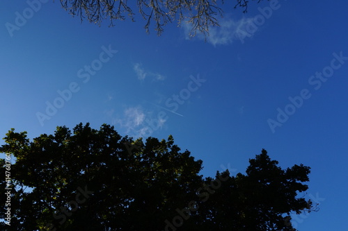 Clear blue sky with silhouette trees.