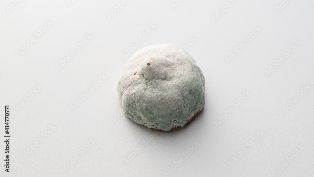 Fototapeta premium close up of a mold on half lemon 