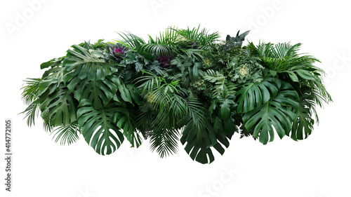 Fototapeta Naklejka Na Ścianę i Meble -  Tropical leaves foliage plant jungle bush floral arrangement nature backdrop with Monstera and tropic plants palm leaves isolated on white background, clipping path included.