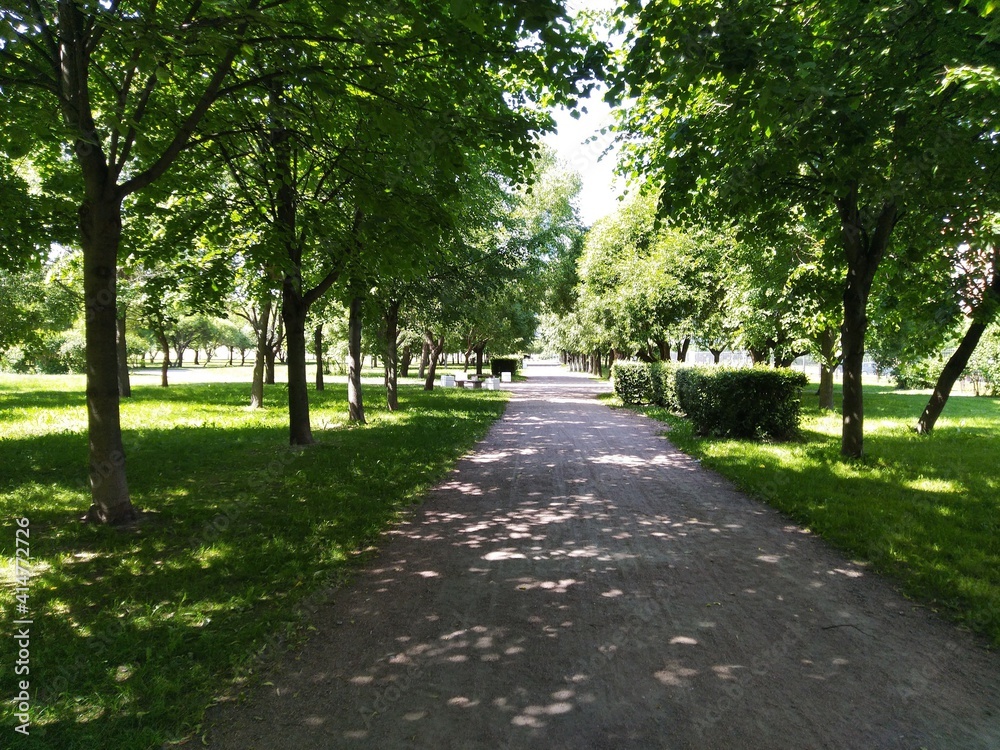 Long straight alley in the park in the sun and shade. The sandy road of the alley goes into the distance, under a light blue sky. Green trees, grass, bushes grow along the edges of the alley. The sun 