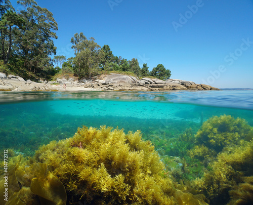 Atlantic coast of Galicia in Spain with algae in the ocean, split view over and under water surface, Bueu, Pontevedra province