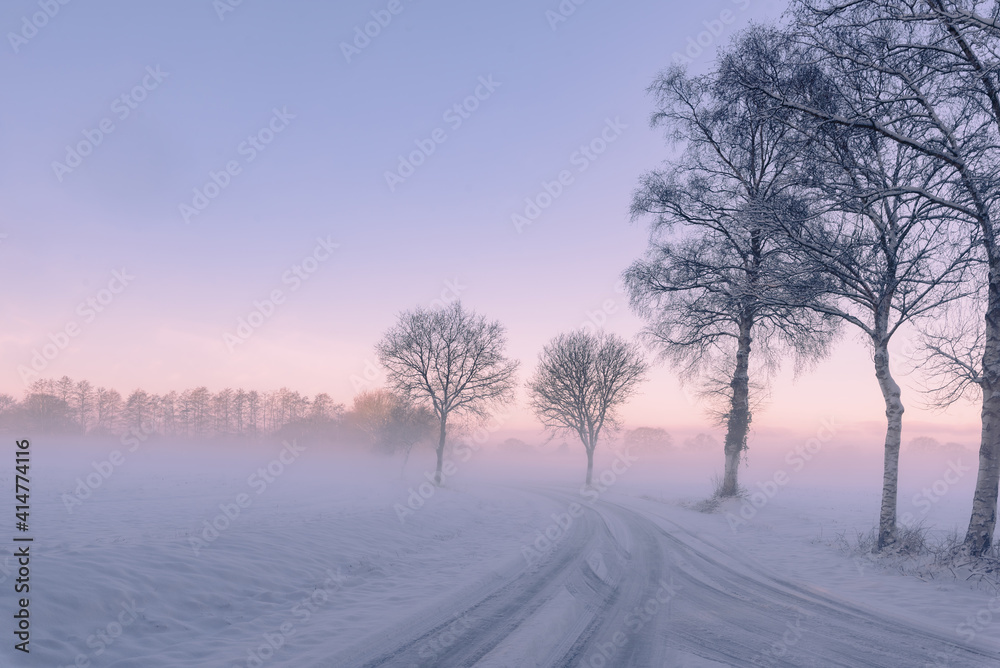 winter landscape in the fog