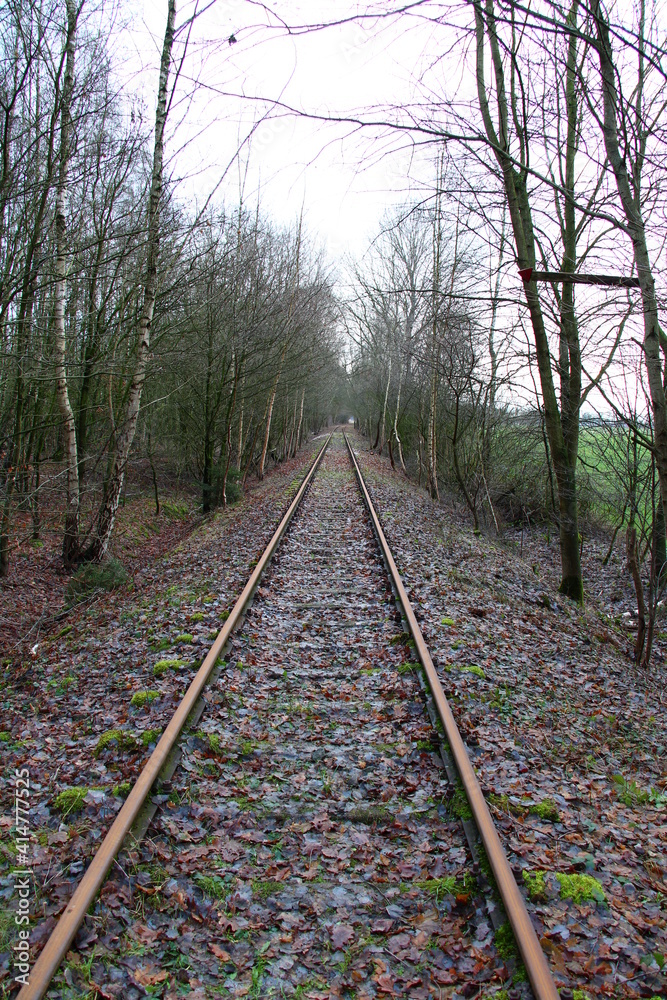 Hiking in the moor in northern Germany, train tracks Hiking in the moor in northern Germany, train tracks