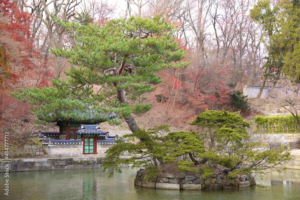 Korea garden in Autumn