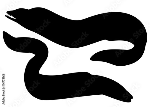 Eel fish in the set. Vector image.