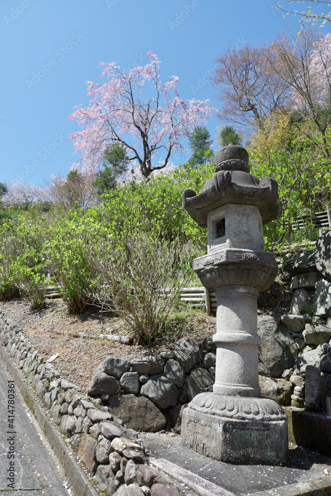 春の善峯寺 登楼と桜 京都市 春の善峯寺 登楼と桜 京都市