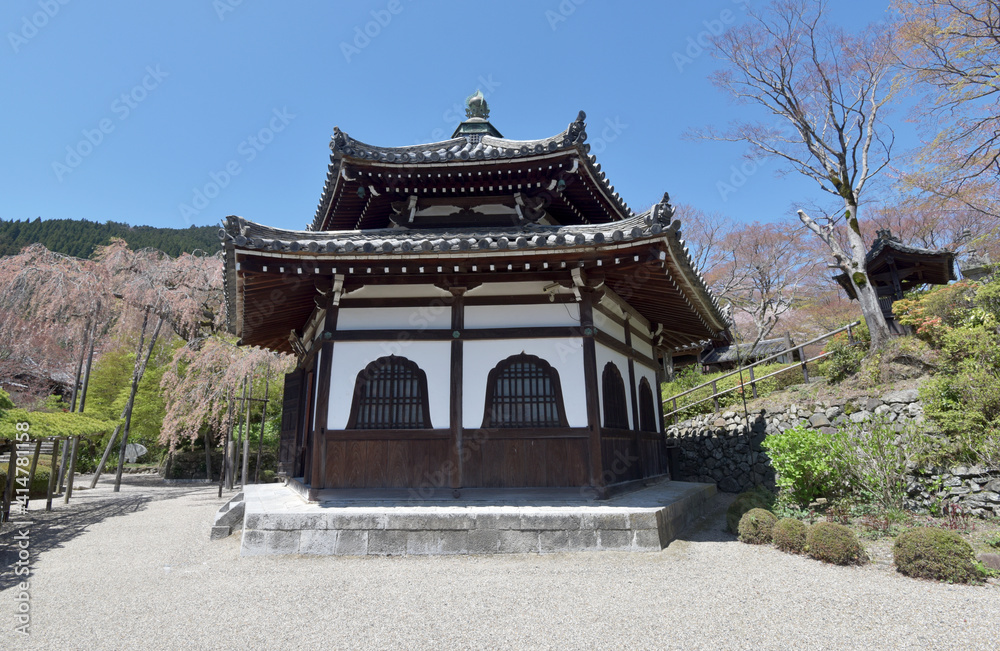 春の善峯寺 経堂 京都市 春の善峯寺 経堂 京都市
