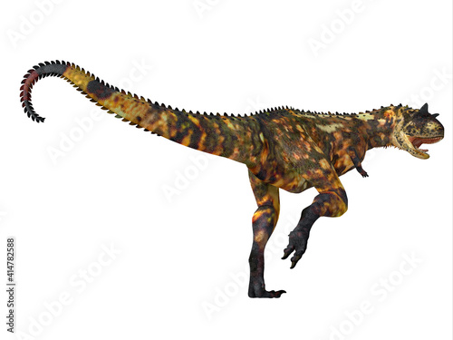 Carnotaurus Dinosaur Tail - Carnotaurus was a carnivorous theropod dinosaur that lived in Patagonia and Argentina during the Cretaceous Period.