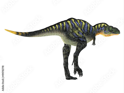 Aucasaurus Dinosaur Tail - Aucasaurus was a carnivorous theropod dinosaur that lived in Argentina during the Cretaceous Period. © Catmando