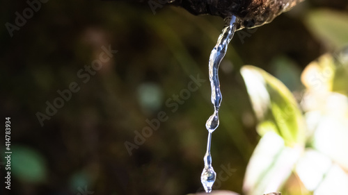 Silver Stream of Water Pouring from a Rock