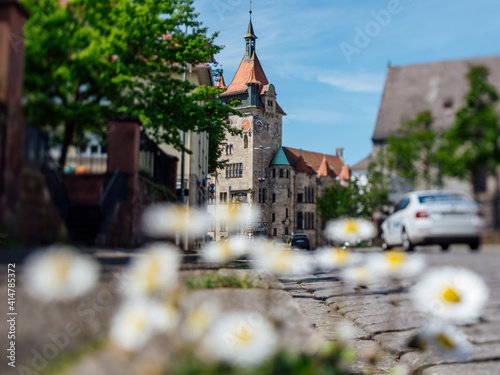 Daisy flowers on the trottoir with tall beautiful Musee historique de Haguenau building in background on the empty street due to COVID-19 pandemics photo