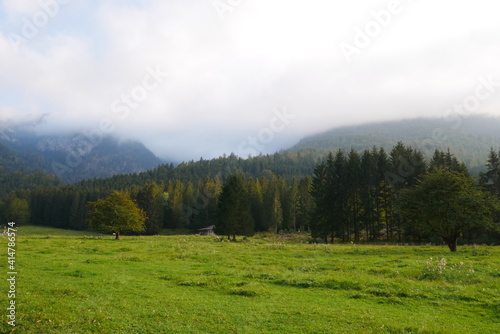 Berglandschaft Mischwald mit Nebelschwaden und Sonnenschein, im Vordergrund eine grüne Wiese