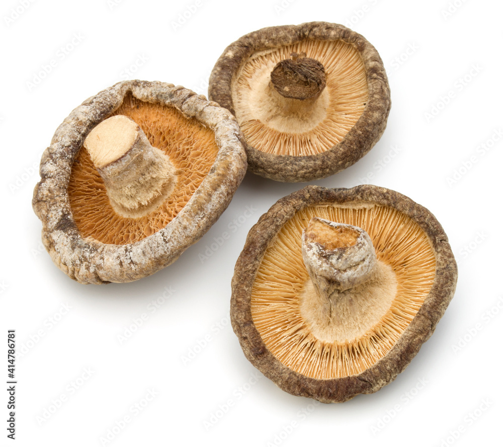 Dried Shiitake Mushroom isolated on white background Dried Shiitake Mushroom isolated on white background