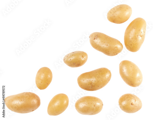 Potato isolated on white background with copy space for your text. Top view. Flat lay pattern. Potatoes in air, without shadow.