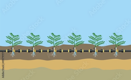 Underground or in ground drip irrigation system. Automatic sprinklers system. Vector illustration flat design. Smart farming application concept. Saving water and time.  Plant irrigation