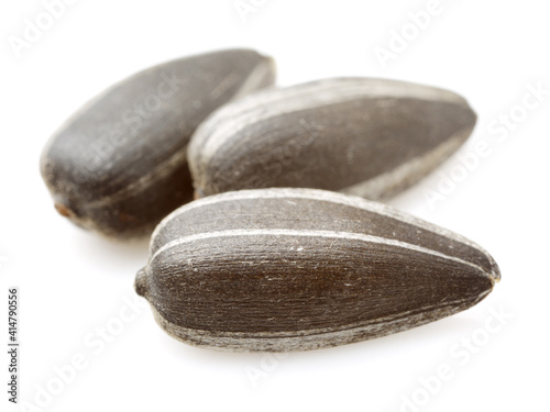 Wallpaper Mural sunflower seeds isolated on white background Torontodigital.ca