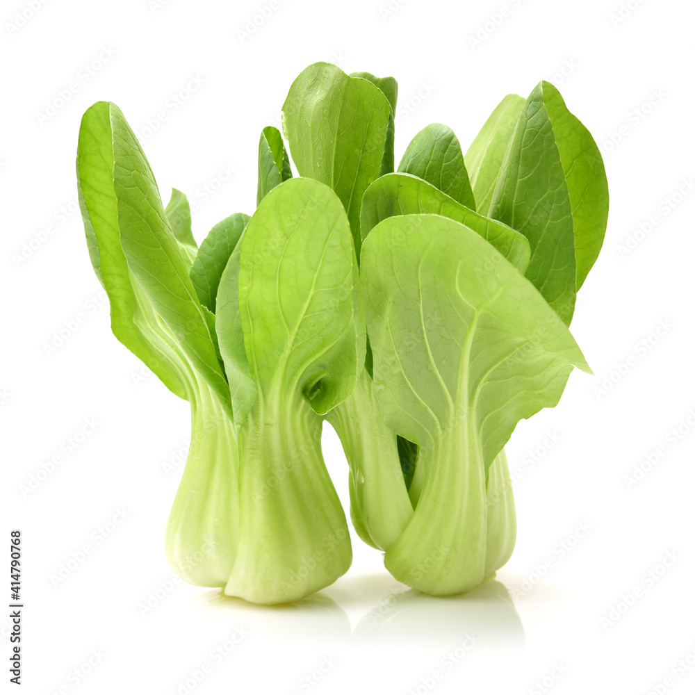 Pok Choi on white background Pok Choi on white background