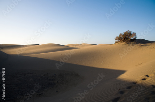 The Maspalomas Dunes