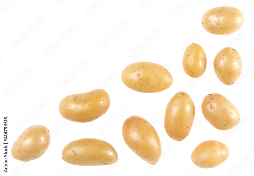 Obraz premium Potato isolated on white background with copy space for your text. Top view. Flat lay pattern. Potatoes in air, without shadow.