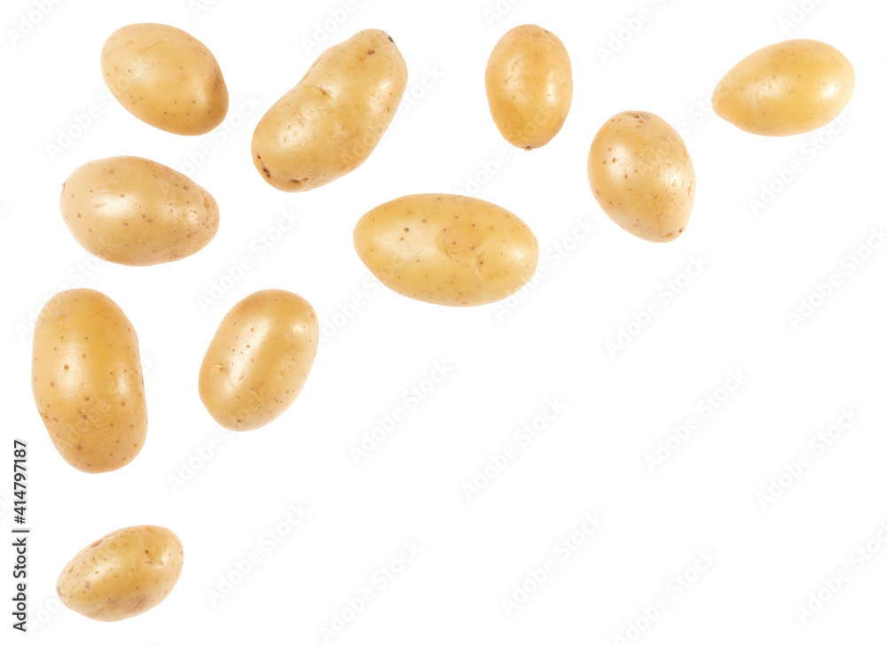 Obraz premium Potato isolated on white background with copy space for your text. Top view. Flat lay pattern. Potatoes in air, without shadow.