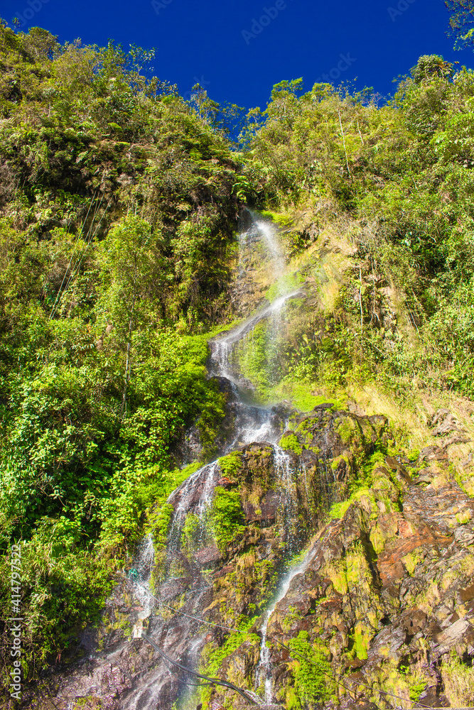 Obraz premium Beautiful landscape of stream in forest