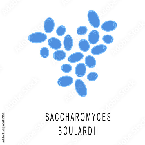 Saccharomyces boulardii colony. Probiotic, beneficial bacterias for human health and beauty. Good gut flora under microscop isolated on white background. Vector illustration.