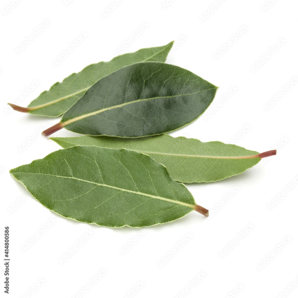 Obraz premium Aromatic bay leaves