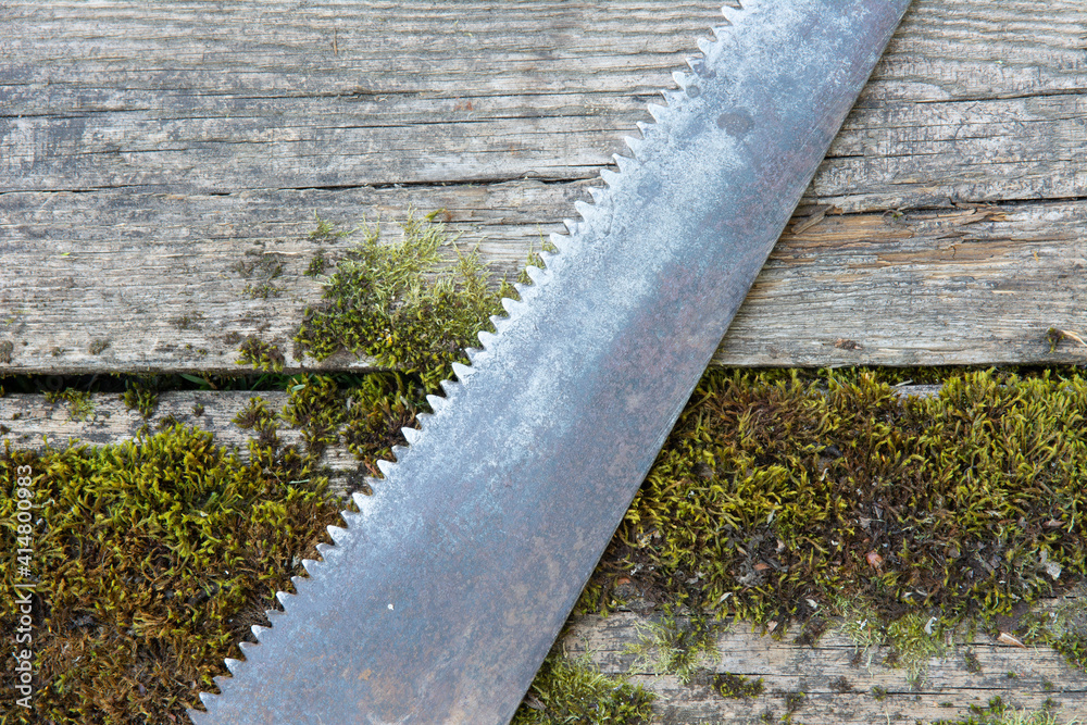 Vintage hand-made tool saw against a backdrop of old planks covered with moss. Rustic style. High quality photo