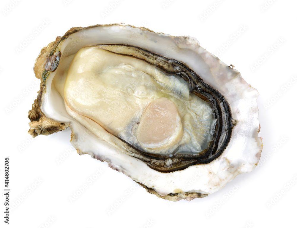 Fresh opened oyster on white background