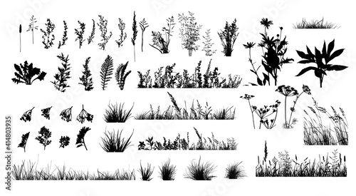 The silhouette of the grass set. Vector illustration photo