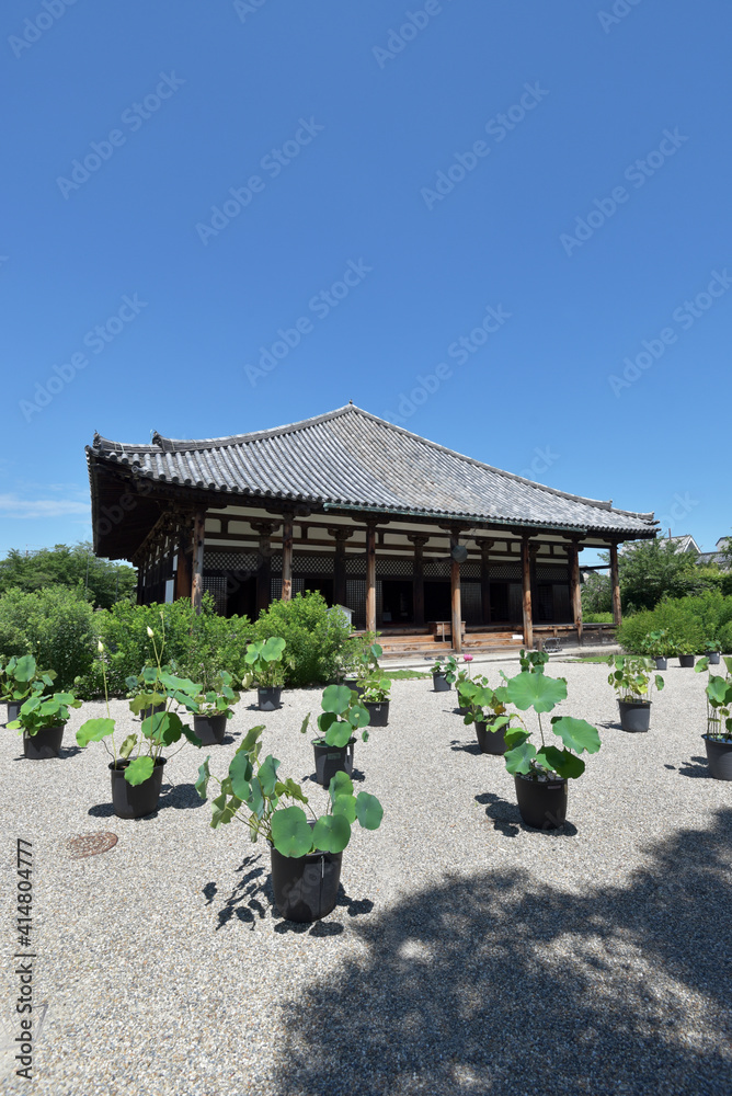 Obraz premium 元興寺 極楽坊本堂 奈良市