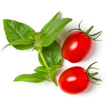red tomatoes and basil leaves isolated on white background. Top view, flat lay. Creative layout.