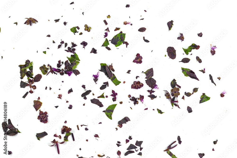 Fresh chopped red basil flower and leaves isolated on white background. Spicy aromatic sliced raw basilic or ocimum herbs. Fresh chopped red basil flower and leaves isolated on white background. Spicy aromatic sliced raw basilic or ocimum herbs.