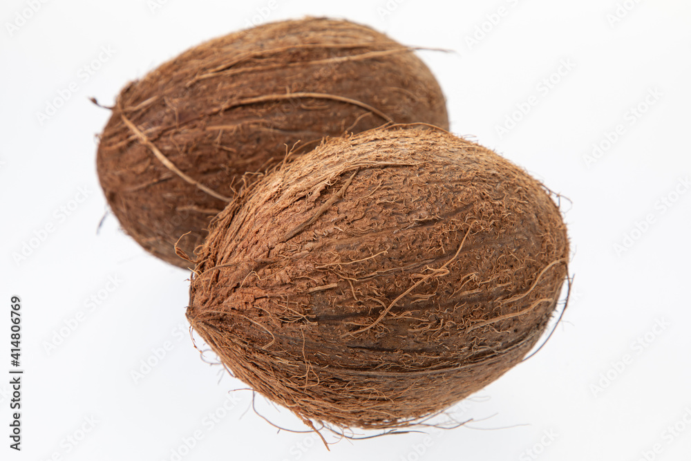 Two coconuts isolated on white background Two coconuts isolated on white background
