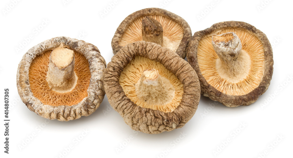 Dried Shiitake Mushroom isolated on white background Dried Shiitake Mushroom isolated on white background