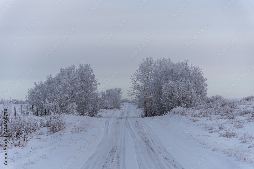 Rural road in winter. 
