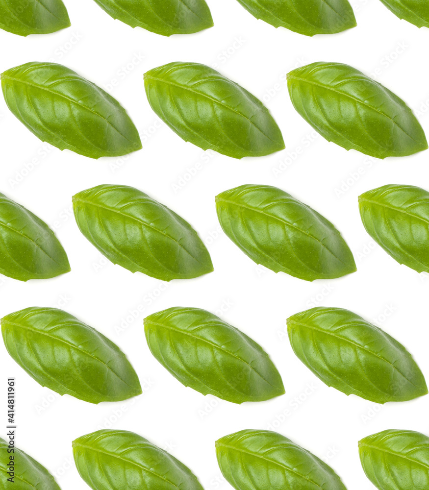 Sweet Basil herb leaves isolated over white background closeup. Flat lay, top view. Seamless pattern..