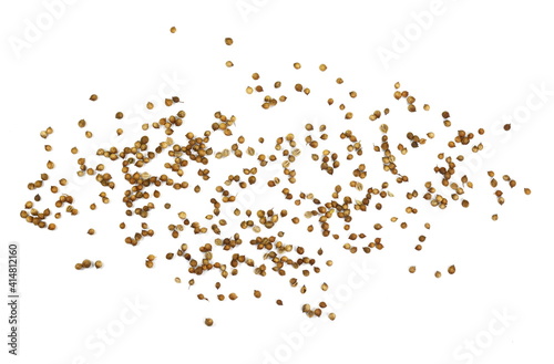 Coriander seeds isolated on white background. 