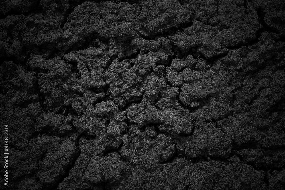 Fototapeta premium Black soil in the garden. Selective focus. Top view. Background. Texture.