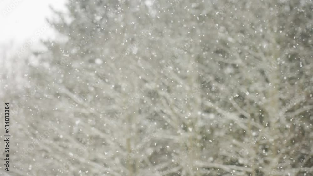 Closer look of the snowfall on the ground in the forest during the winter season