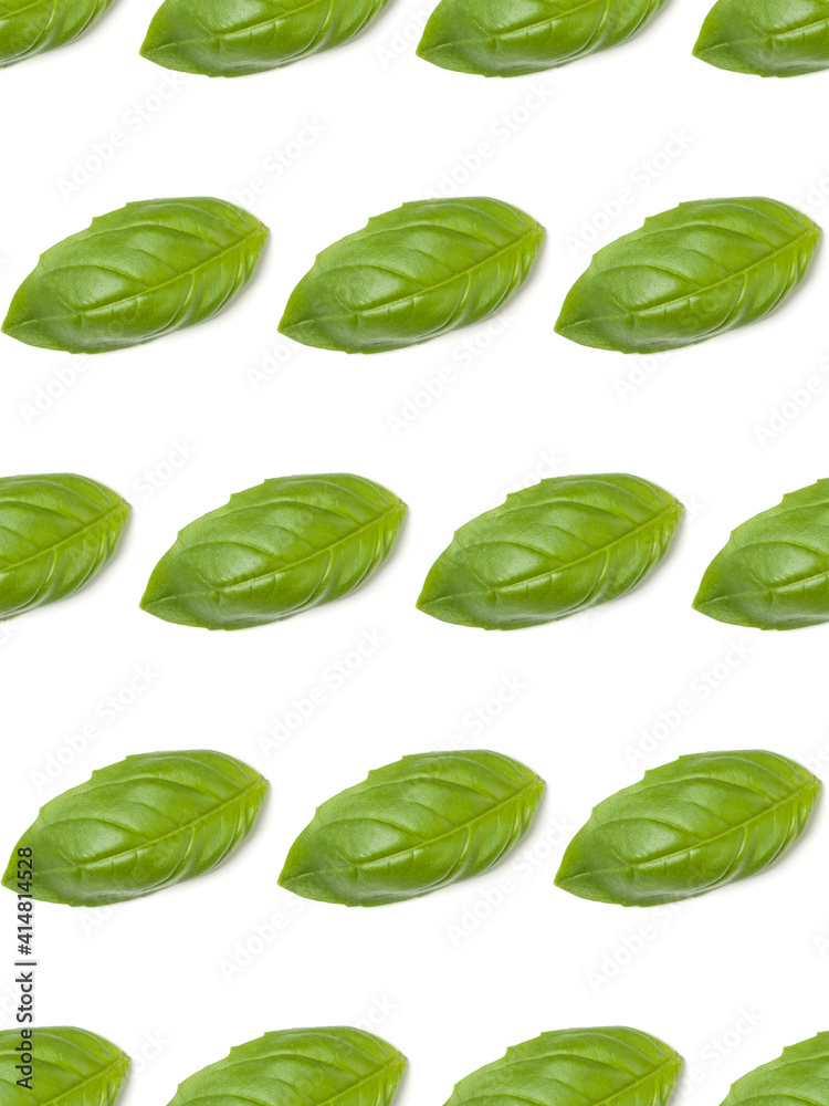 Sweet Basil herb leaves isolated over white background closeup. Flat lay, top view. Seamless pattern.. Sweet Basil herb leaves isolated over white background closeup. Flat lay, top view. Seamless pattern..