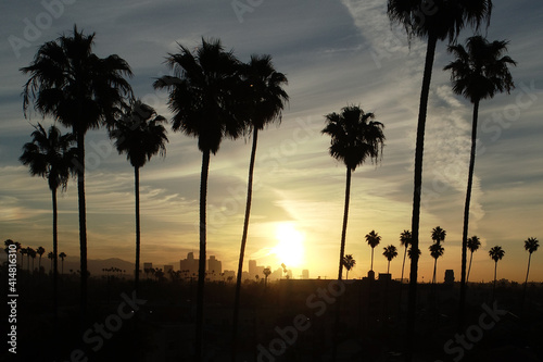 Sunrise over Los Angeles with palm trees in the foreground