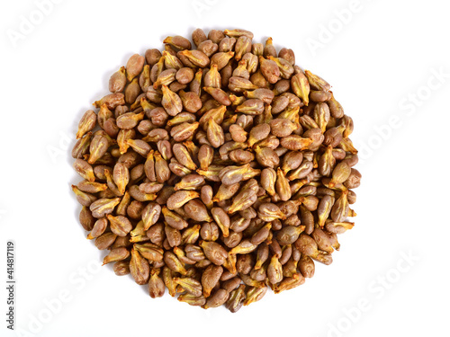 Grape Seed (Grapeseed) Pile. Top View. Isolated on White.