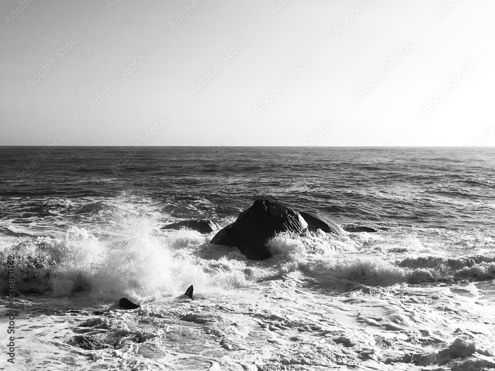 Naklejka premium Raging waves